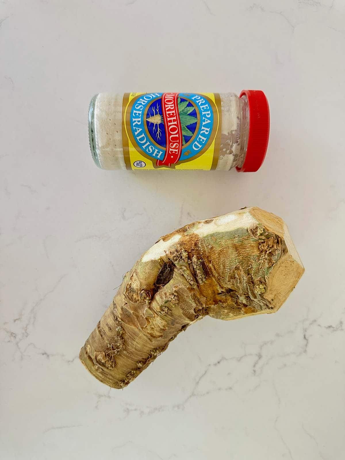 horseradish root and prepared horseradish pictured on the counter