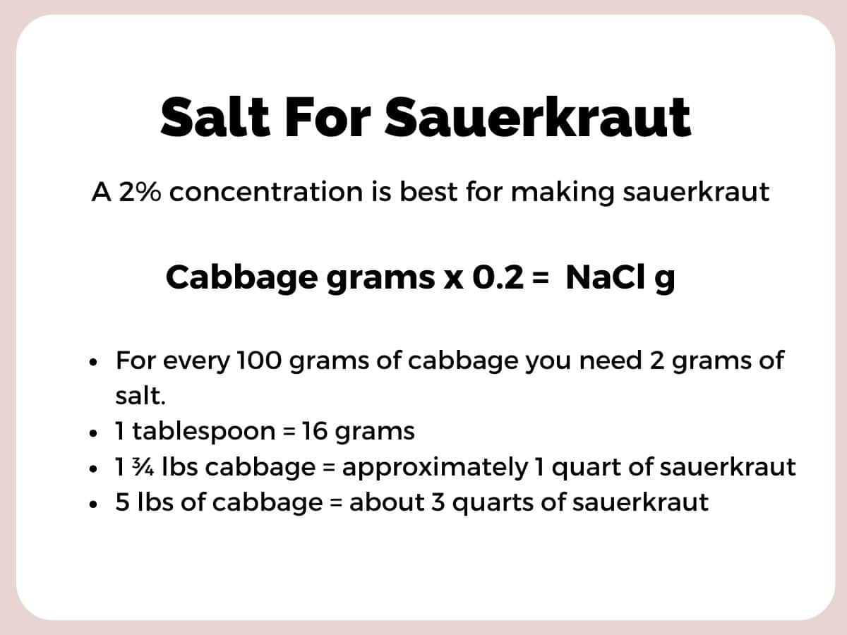 proper salt concentration for sauerkraut