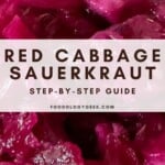 red cabbage sauerkraut pin for pinterest