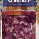 Homemade red cabbage sauerkraut Pinterest Pin