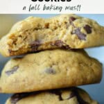 Pumpkin Chocolate Chip Cookies Pinterest Pin