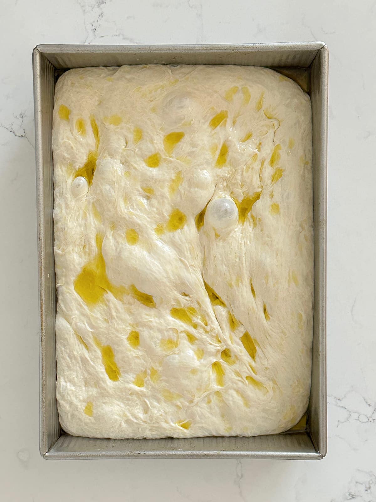 focaccia dough in a 9x13 baking pan after it has been resting at room temperature for several hours to develop the large bubbles that focaccia is known for.
