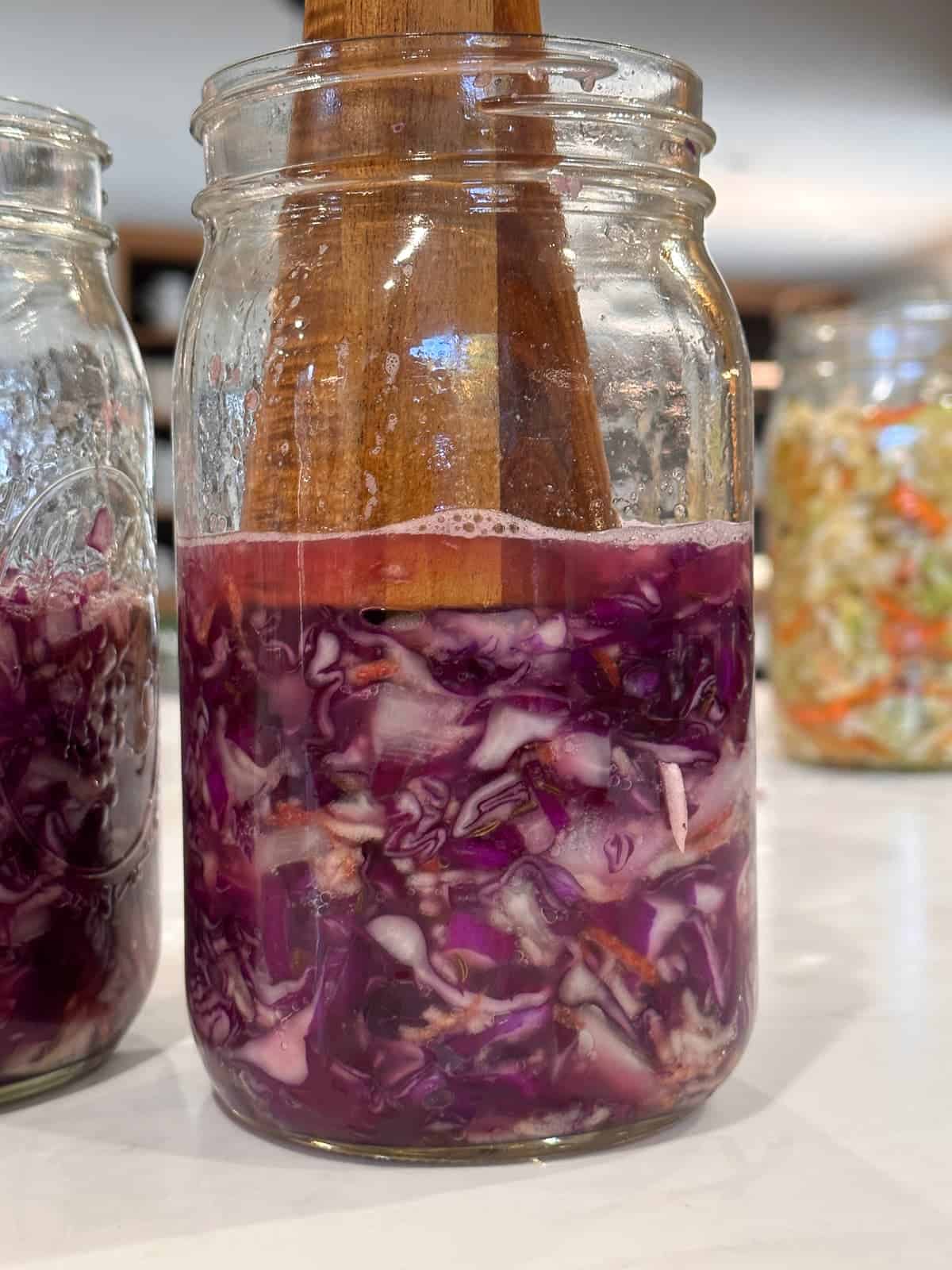 red sauerkraut being packed into jars