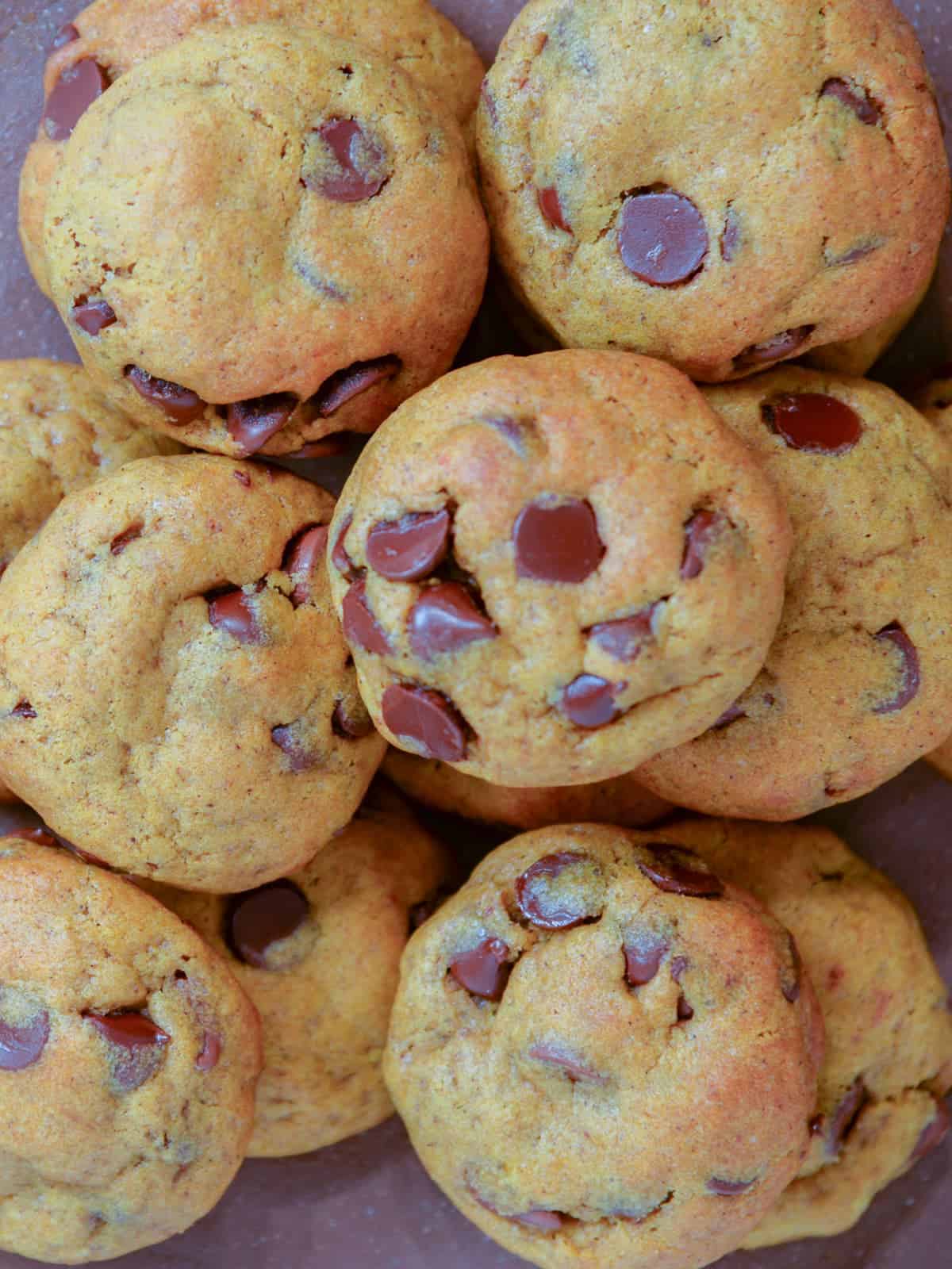 stack of pumpkin chocolate chip cookies