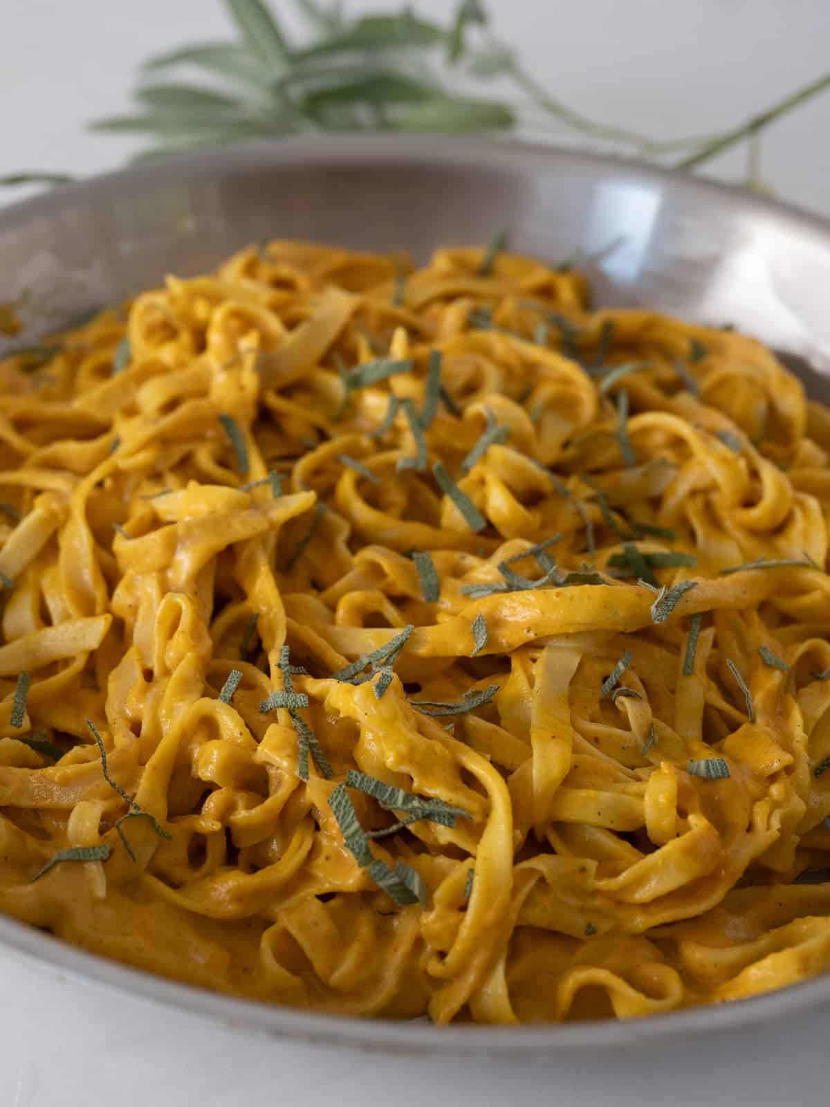 freshly made pasta with creamy pumpkin pasta sauce