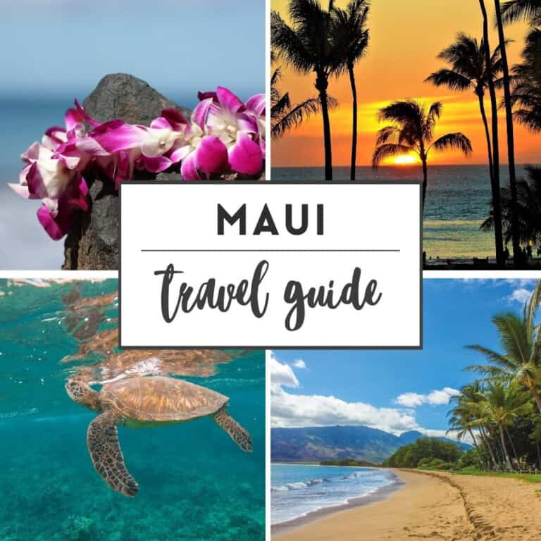Maui Travel guide featured image with photos of Maui beaches, honu, and a Lei