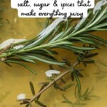 Brining Basics Pinterest pin