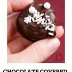 chocolate covered coconut balls pnterest