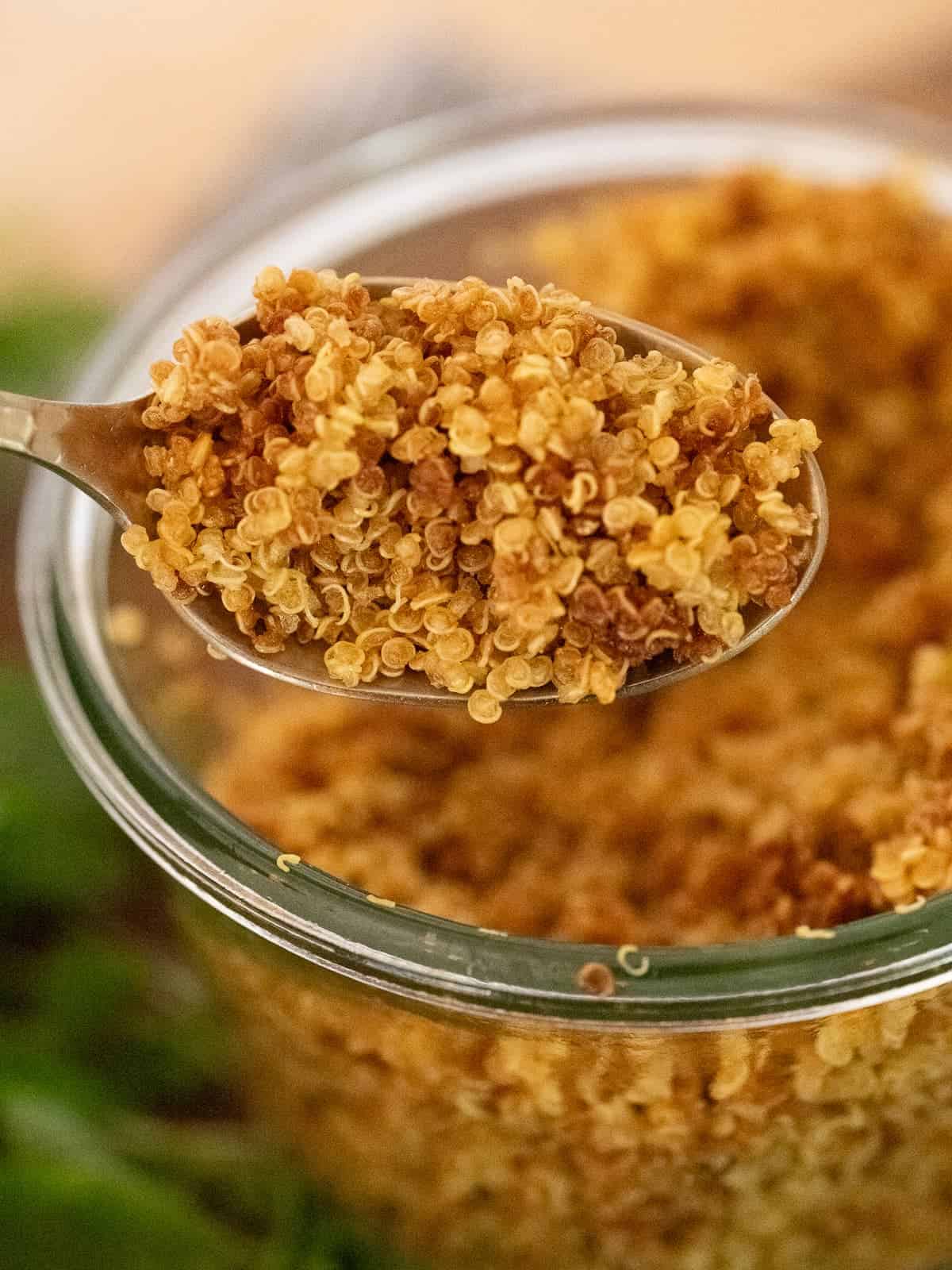 a spoonful of golden brown tasted crispy quinoa